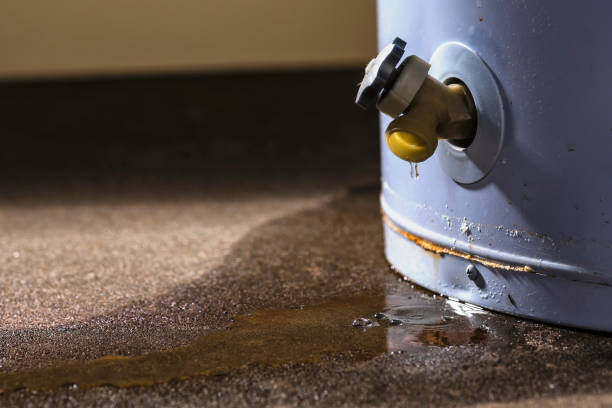 Carpet water damage restoration in NE