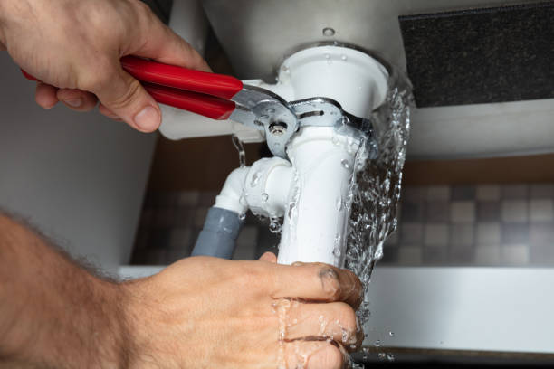 Best Mold removal after water damage  in Falls City, NE