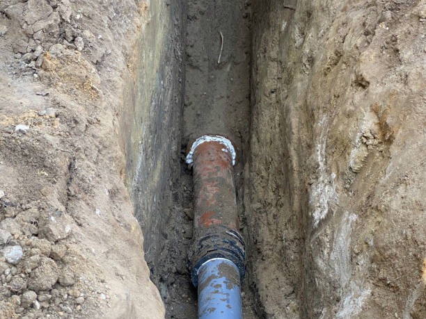 Best Professional water damage repair  in Falls City, NE