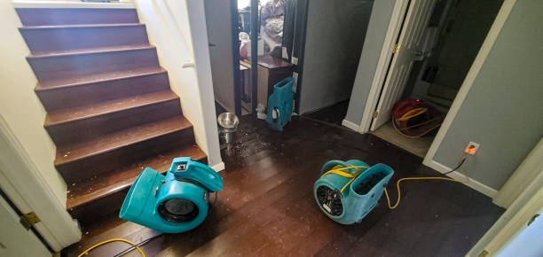 Best Residential water damage restoration  in Falls City, NE