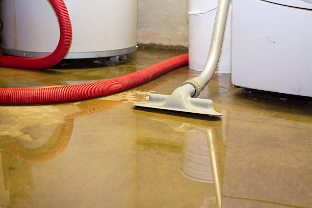 Best 24/7 water damage repair  in Falls City, NE