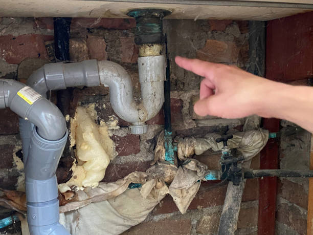 Best Fire Damage Restoration  in Falls City, NE